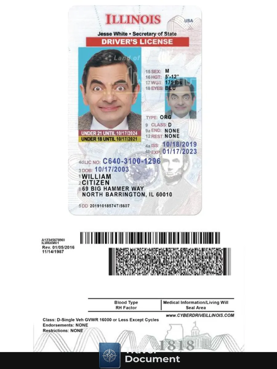 Usa Illinois Driving License Under 21 — Driver License