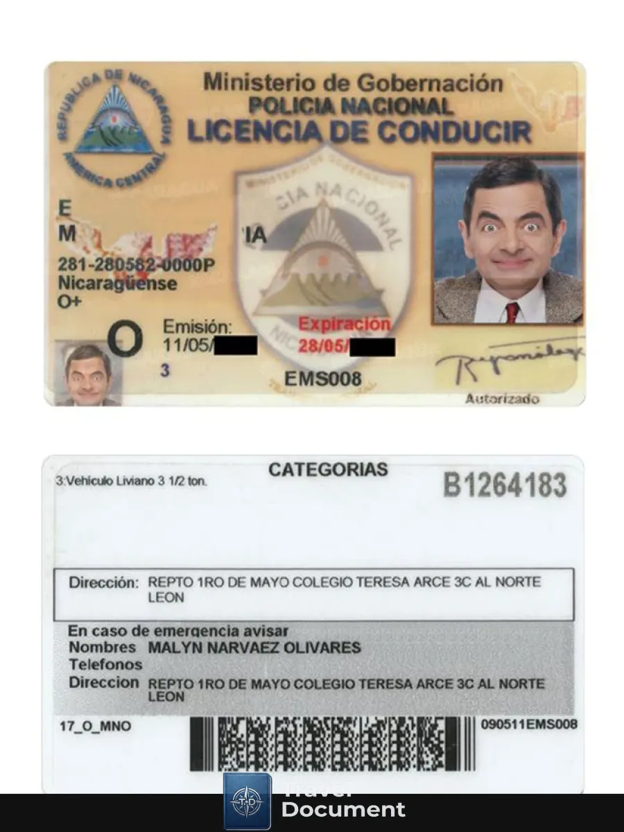 Nicaragua Driving License — Driver License