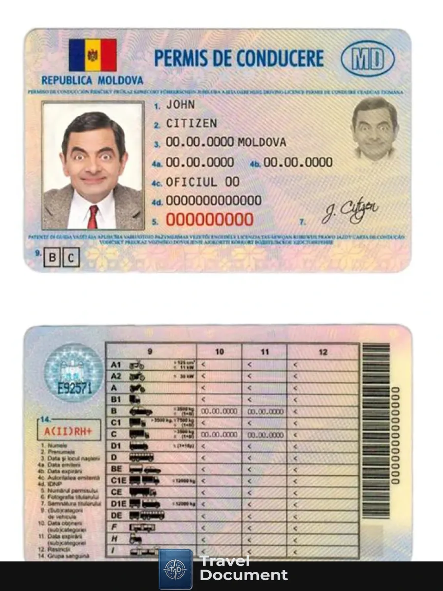 Moldova Driver License — Driver License