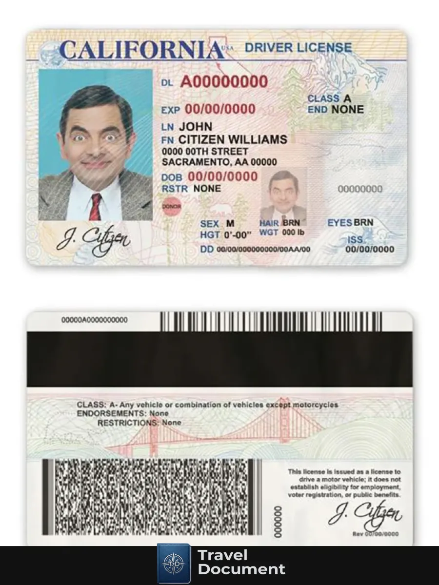 Usa State California Driver License — Driver License