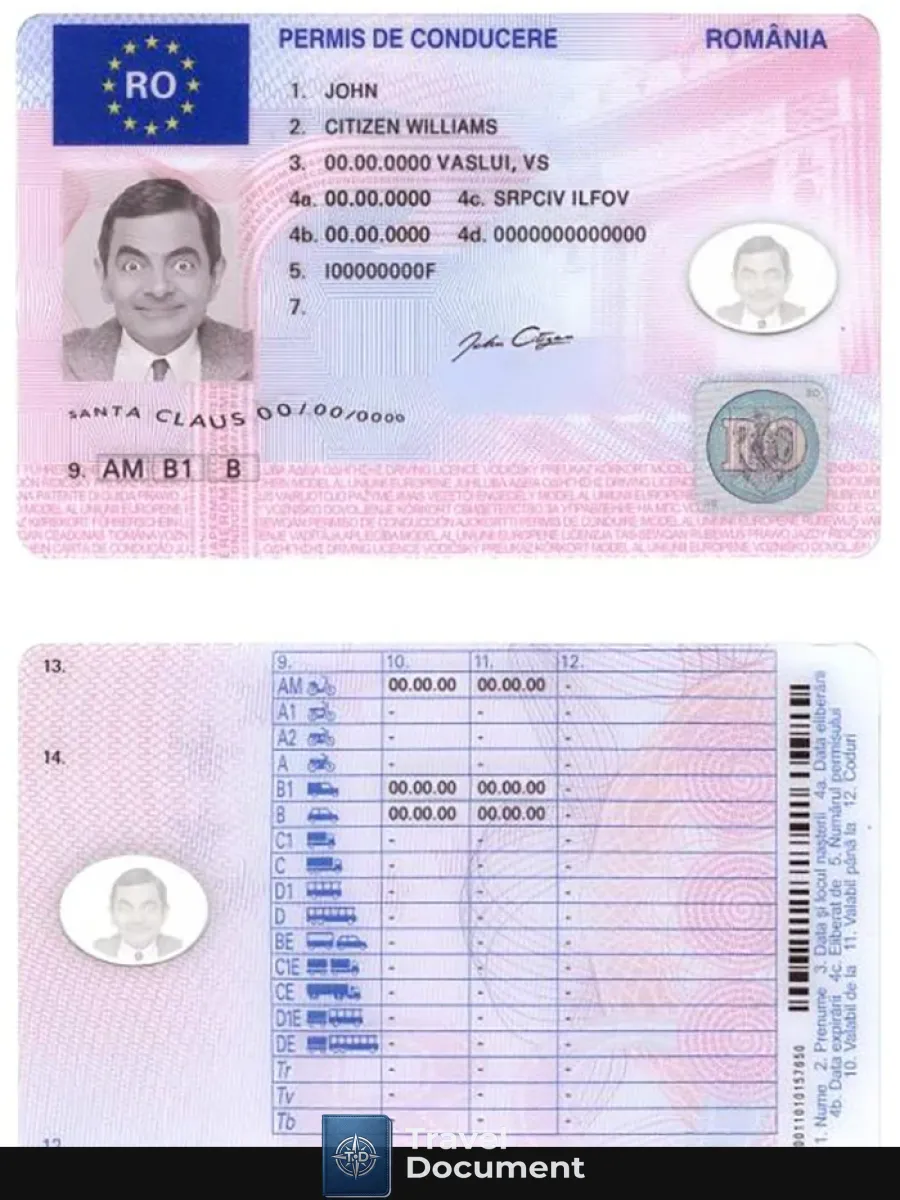 Romania Driving License — Driver License