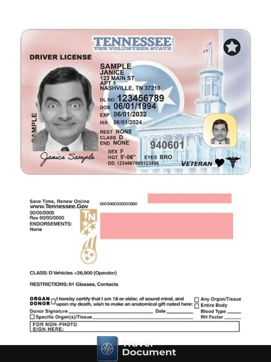 Usa Tennessee Driving License 2024 Present — Driver License