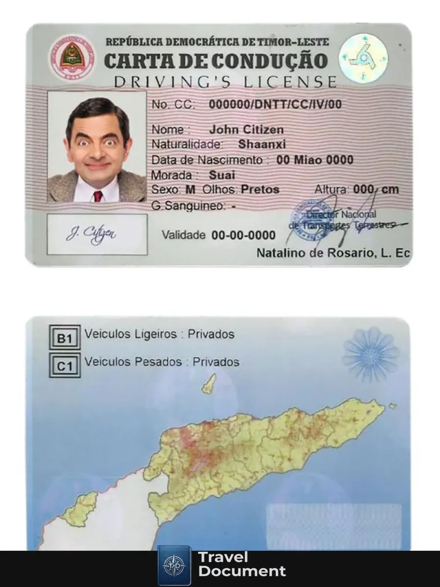 Timor Leste Driving License — Driver License