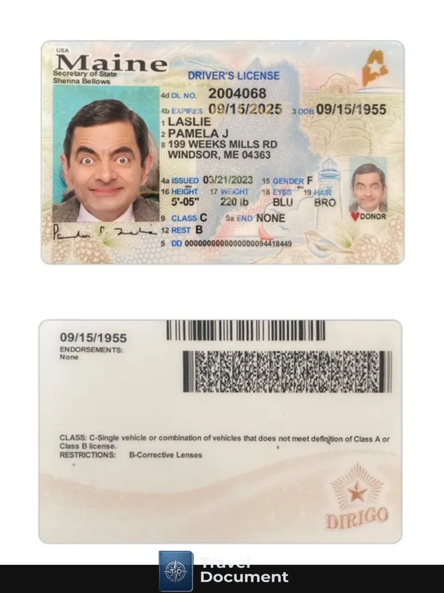 Usa Maine Driving License 2023 Present — Driver License