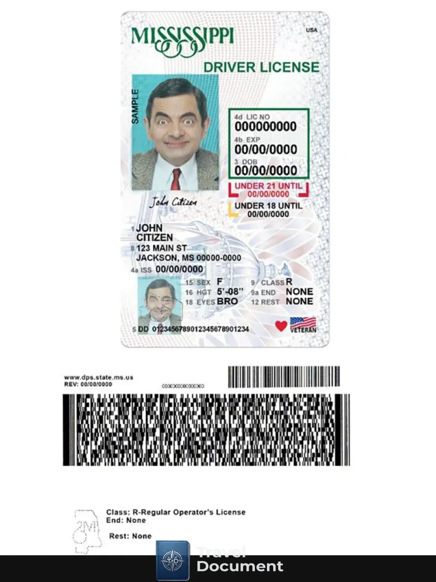 Usa Mississippi Driving License Under 21 — Driver License