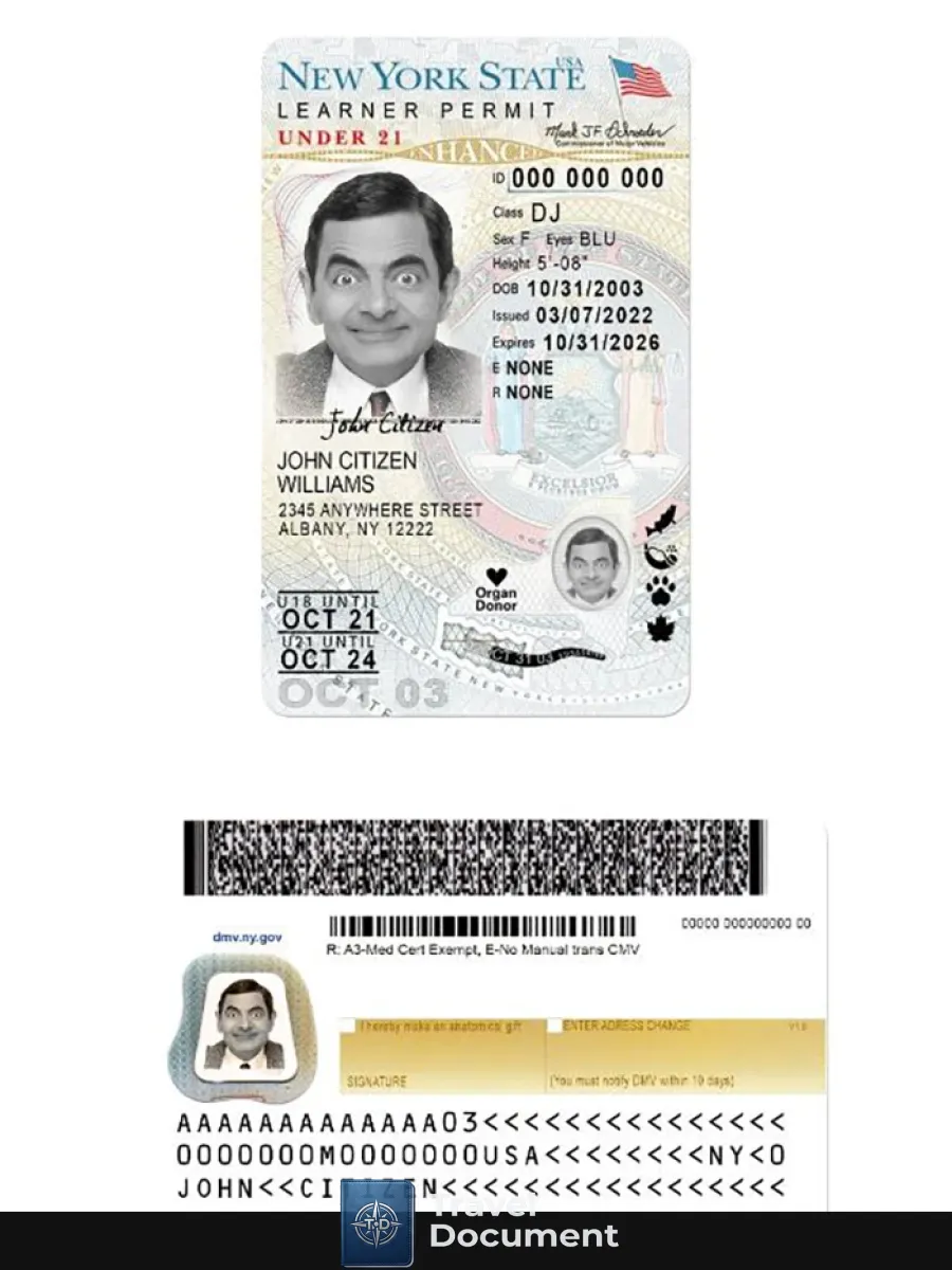 Usa New York Driving License Under 21 Version 2 — Driver License