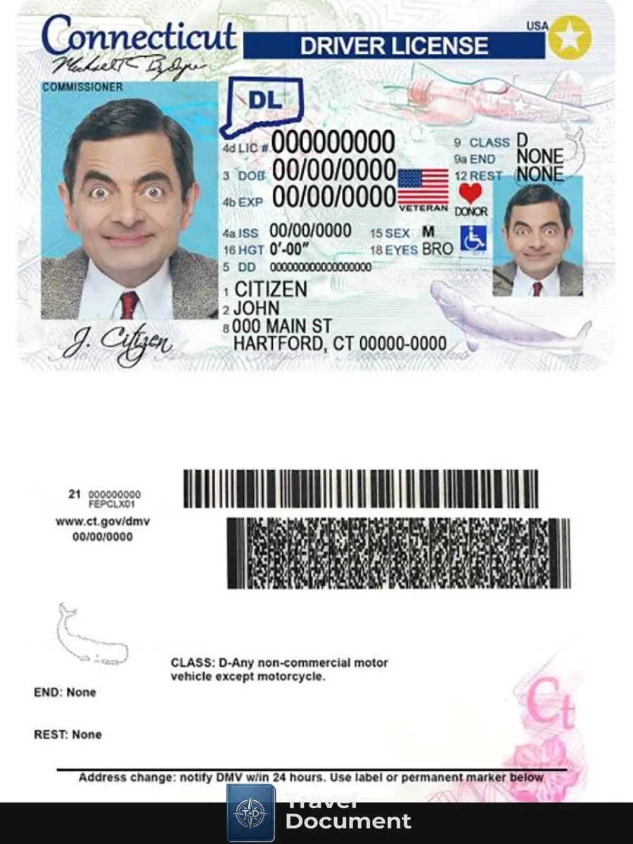 Usa Connecticut Driving License — Driver License
