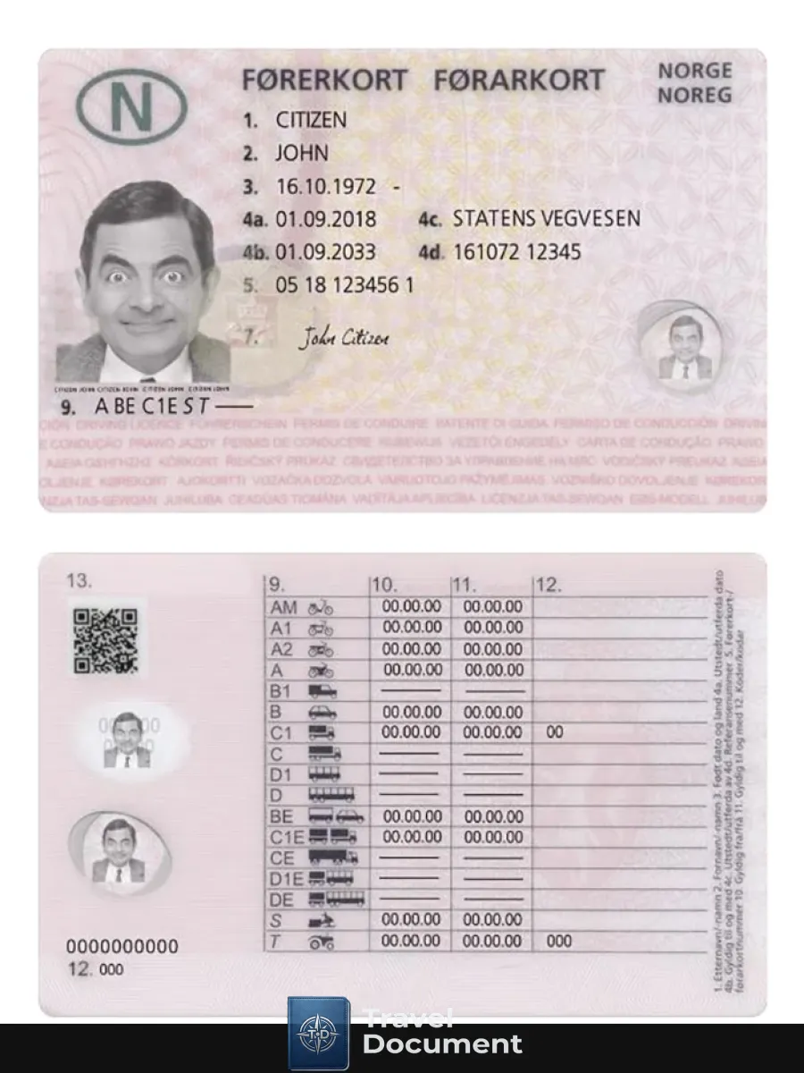 Norway Driving License 2018 Present — Driver License