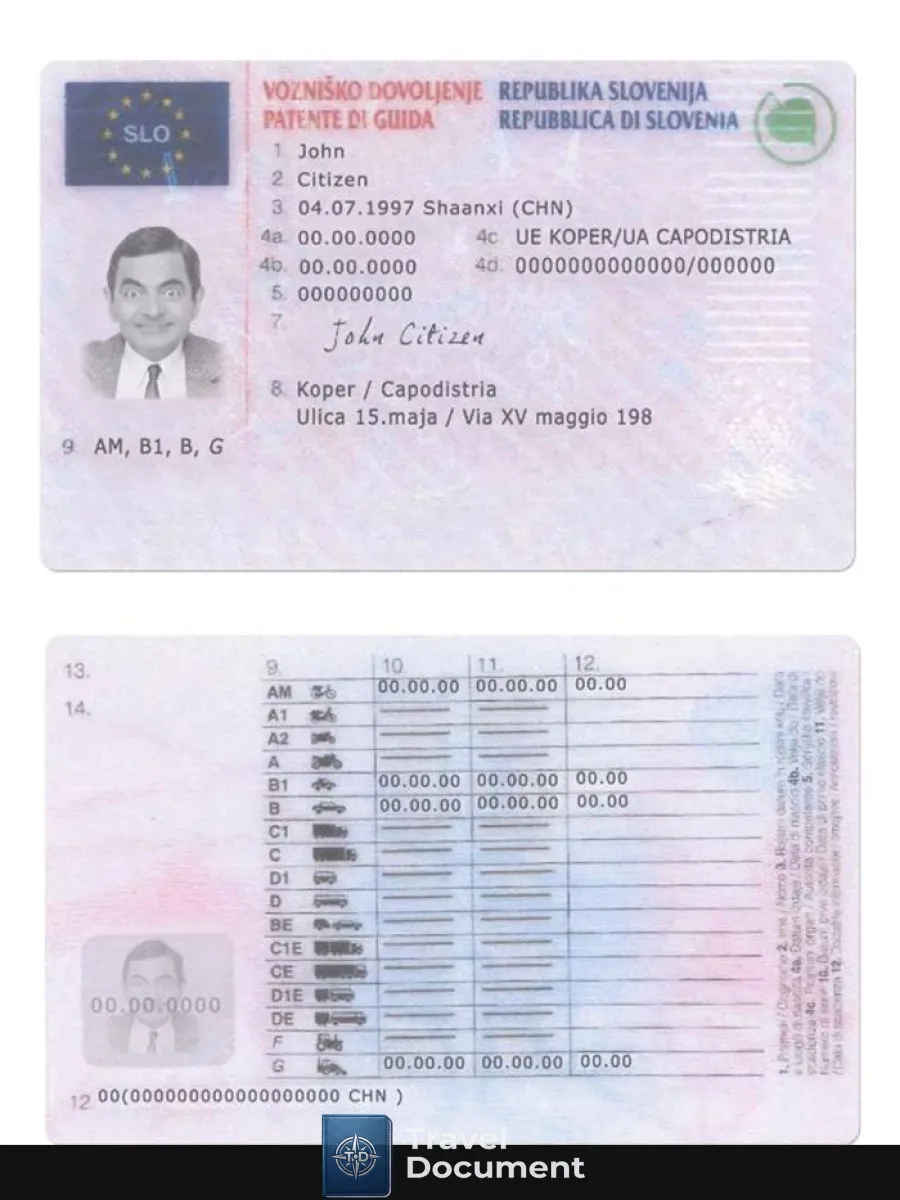 Slovenia Driving License — Driver License