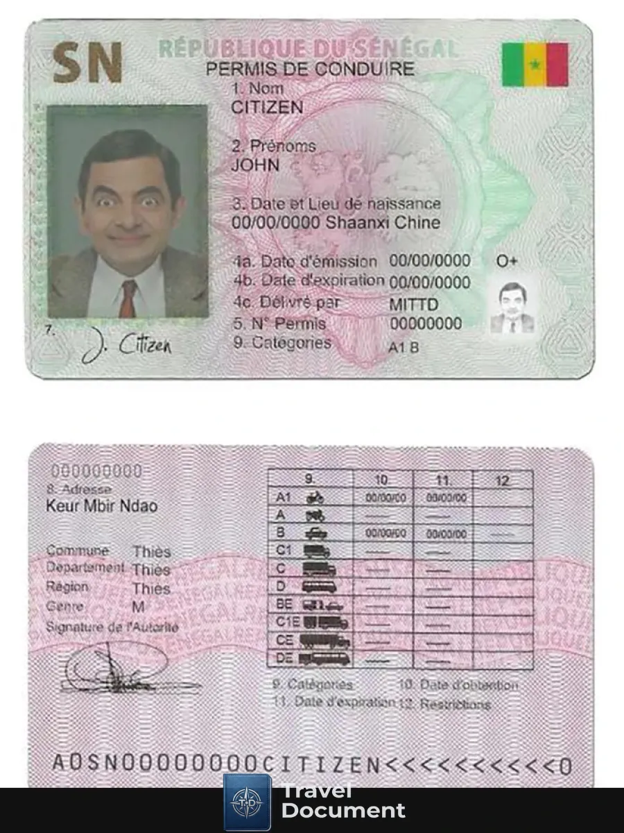 Senegal Driving License — Driver License