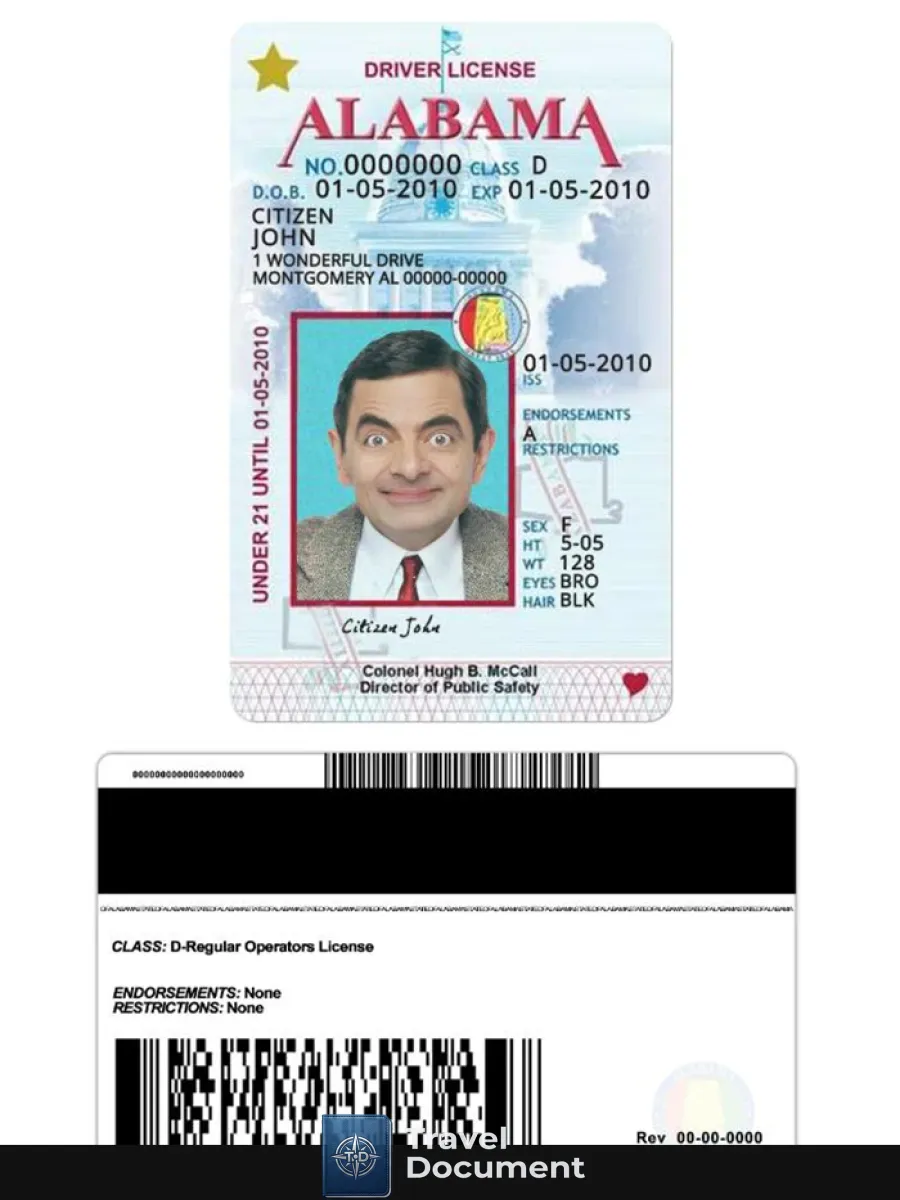 Usa Alabama Driving License Under 21 — Driver License