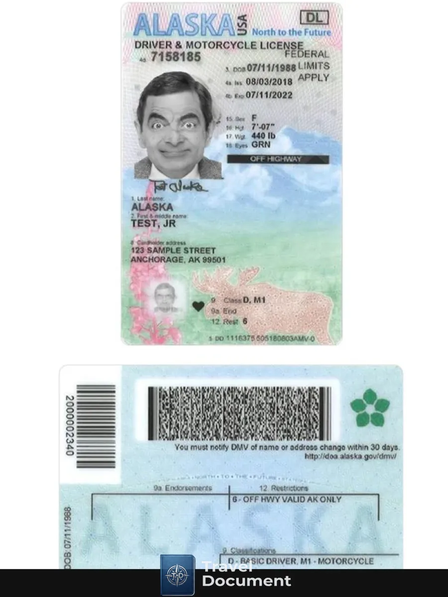 Usa Alaska Under 21 Driving License — Driver License