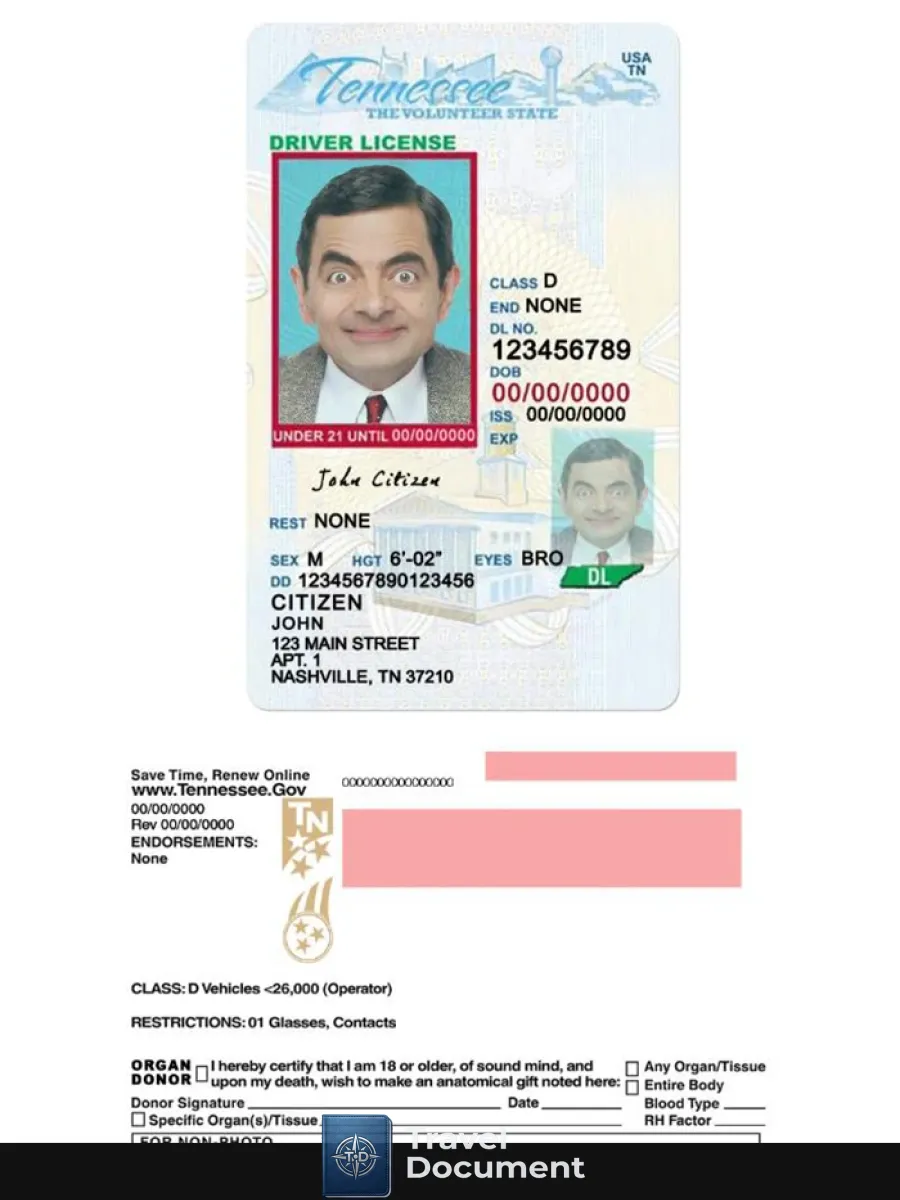 Usa Tennessee Driving License Under 21 — Driver License