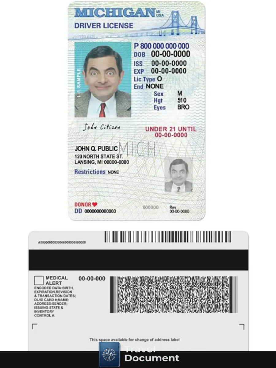 Usa Michigan Driving License Under 21 — Driver License