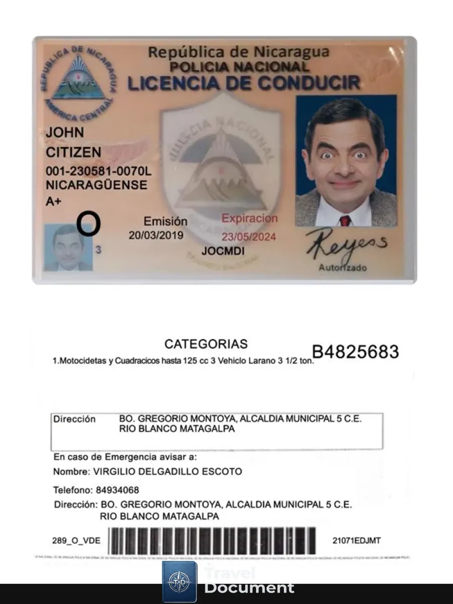 Nicaragua Driving License 2019 Present — Driver License