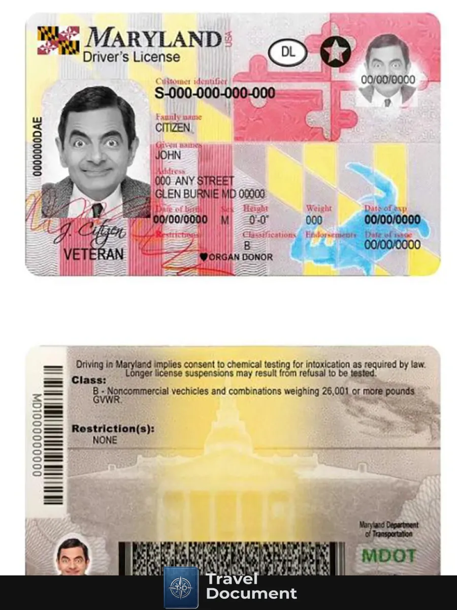 Usa Maryland Driving License — Driver License