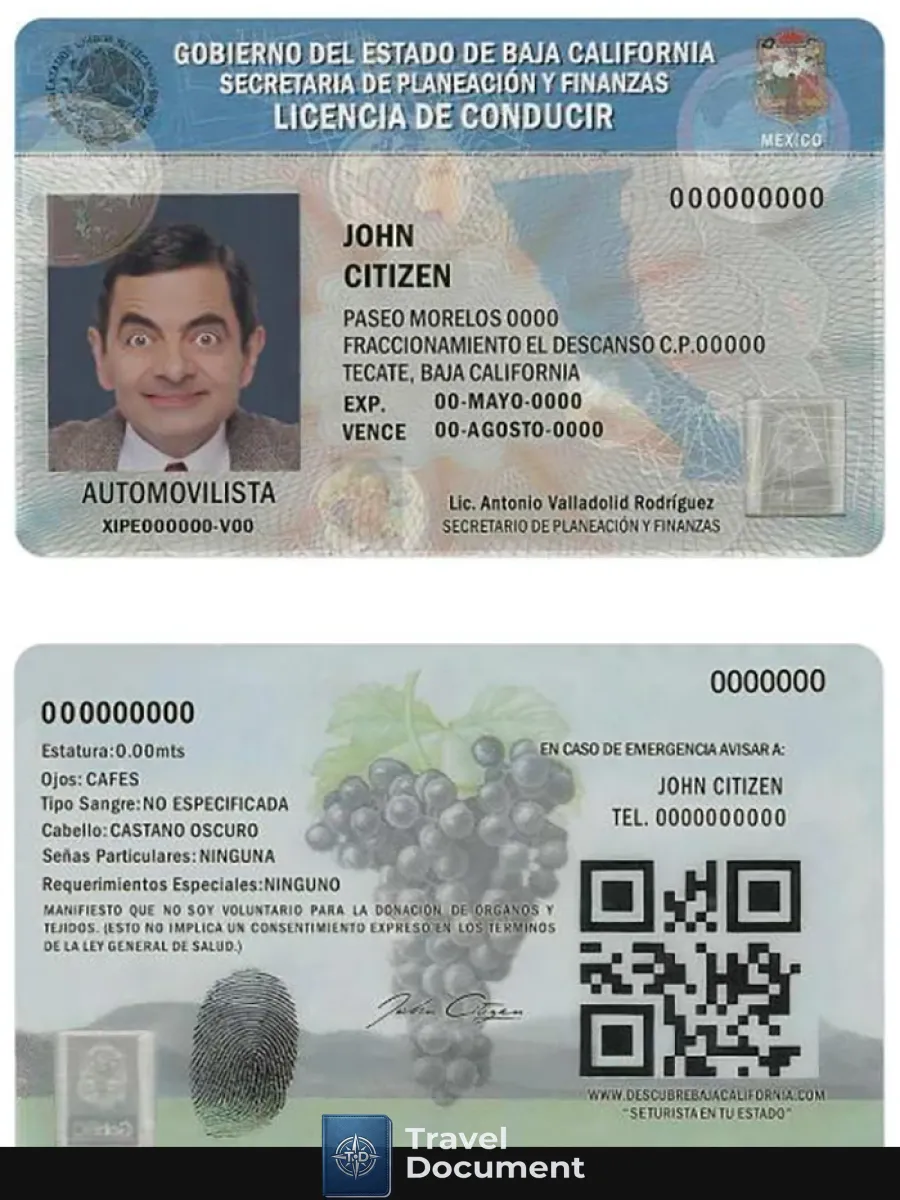 Mexico Baja California Driving License — Driver License