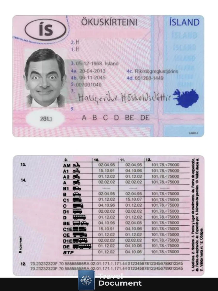 Iceland Driving License 2013 Present — Driver License
