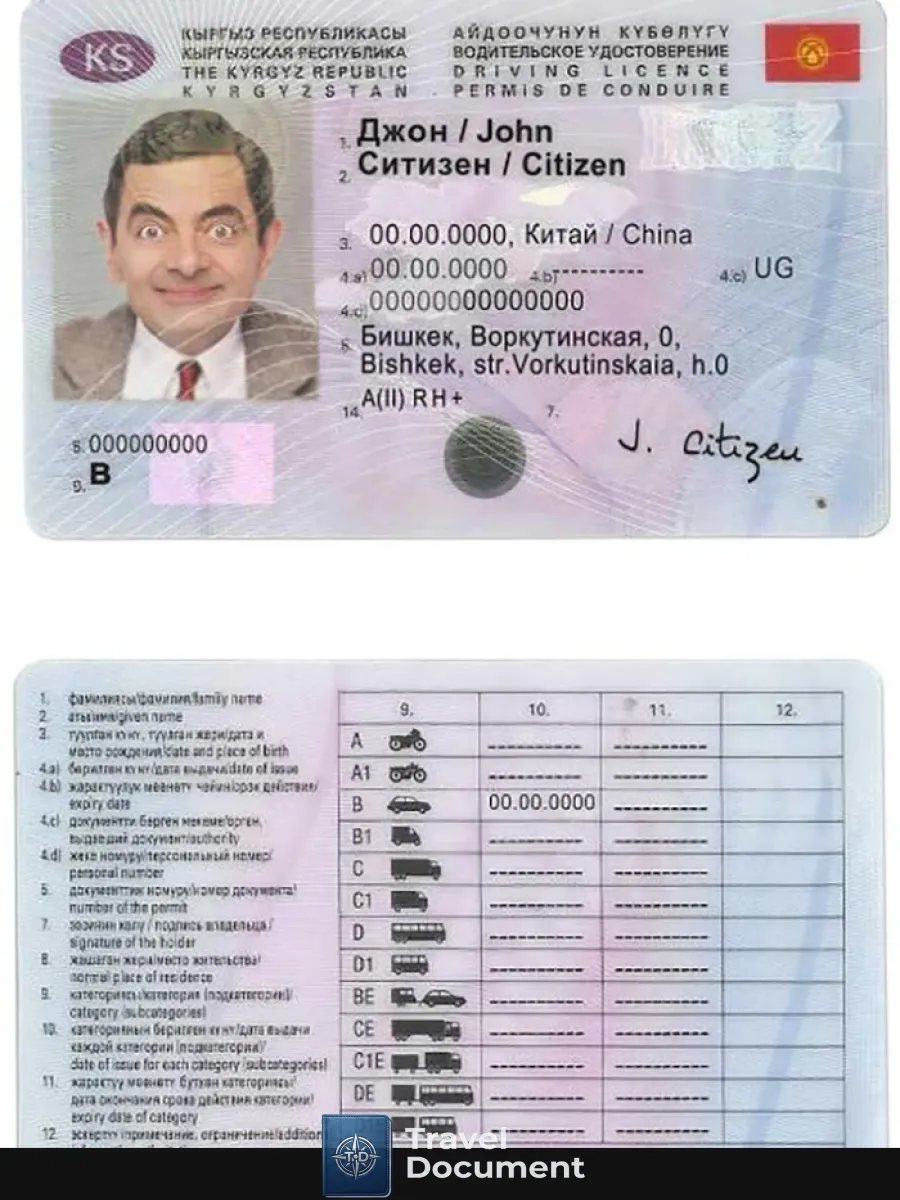 Kyrgyzstan Driving License — Driver License