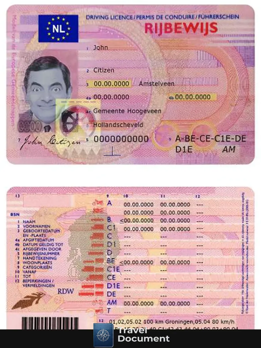 Netherlands Driving License — Driver License