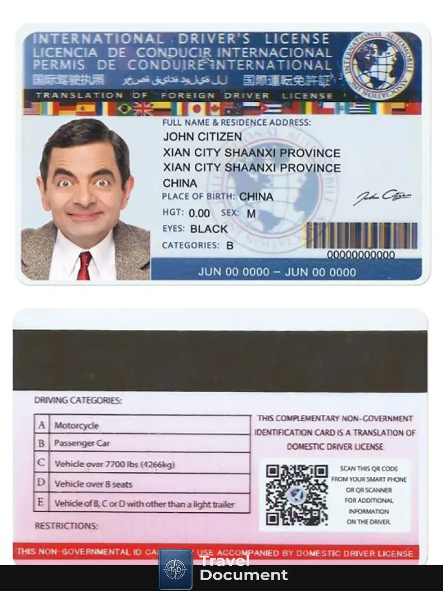 Internationaldl Version2 — Driver License