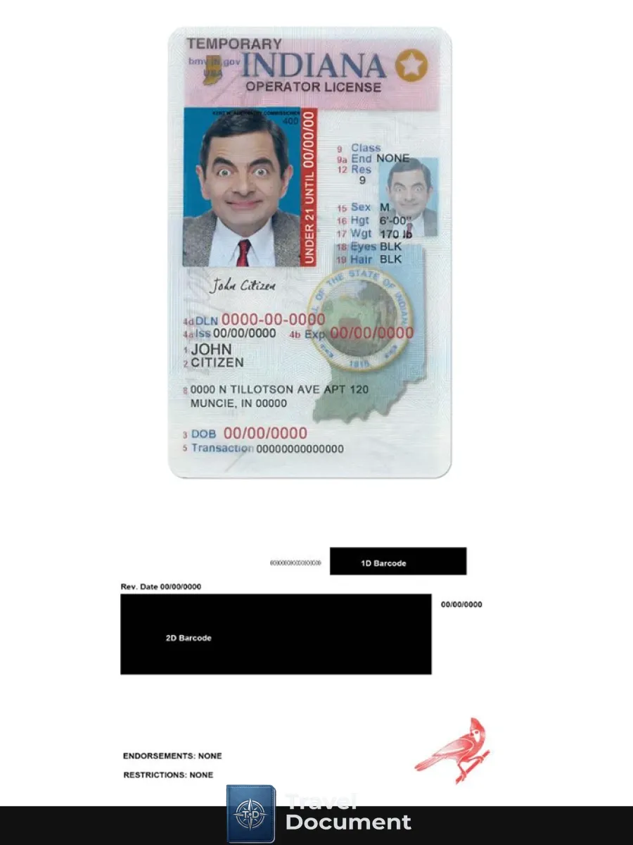 Usa Indiana Driving Operator License Under 21 — Driver License