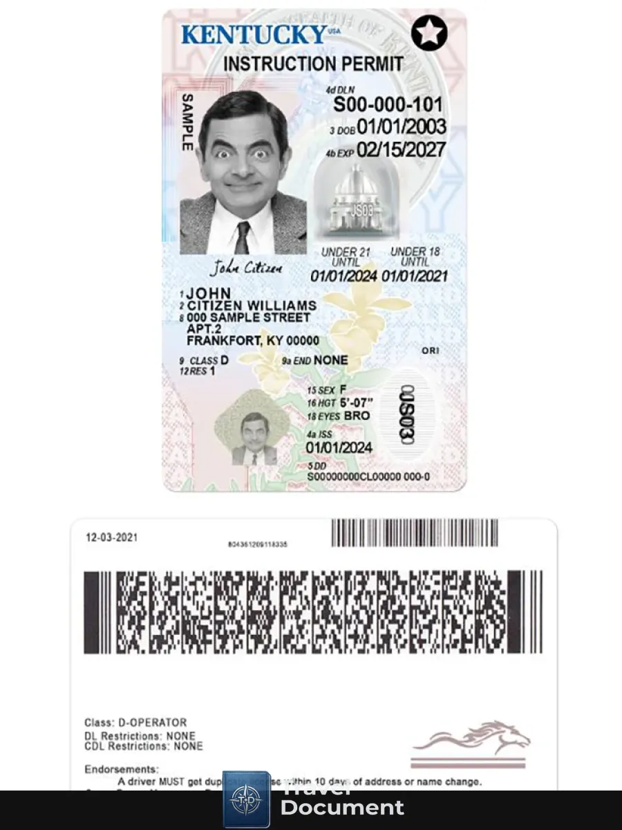 Usa Kentucky Driving License Under 21 — Driver License