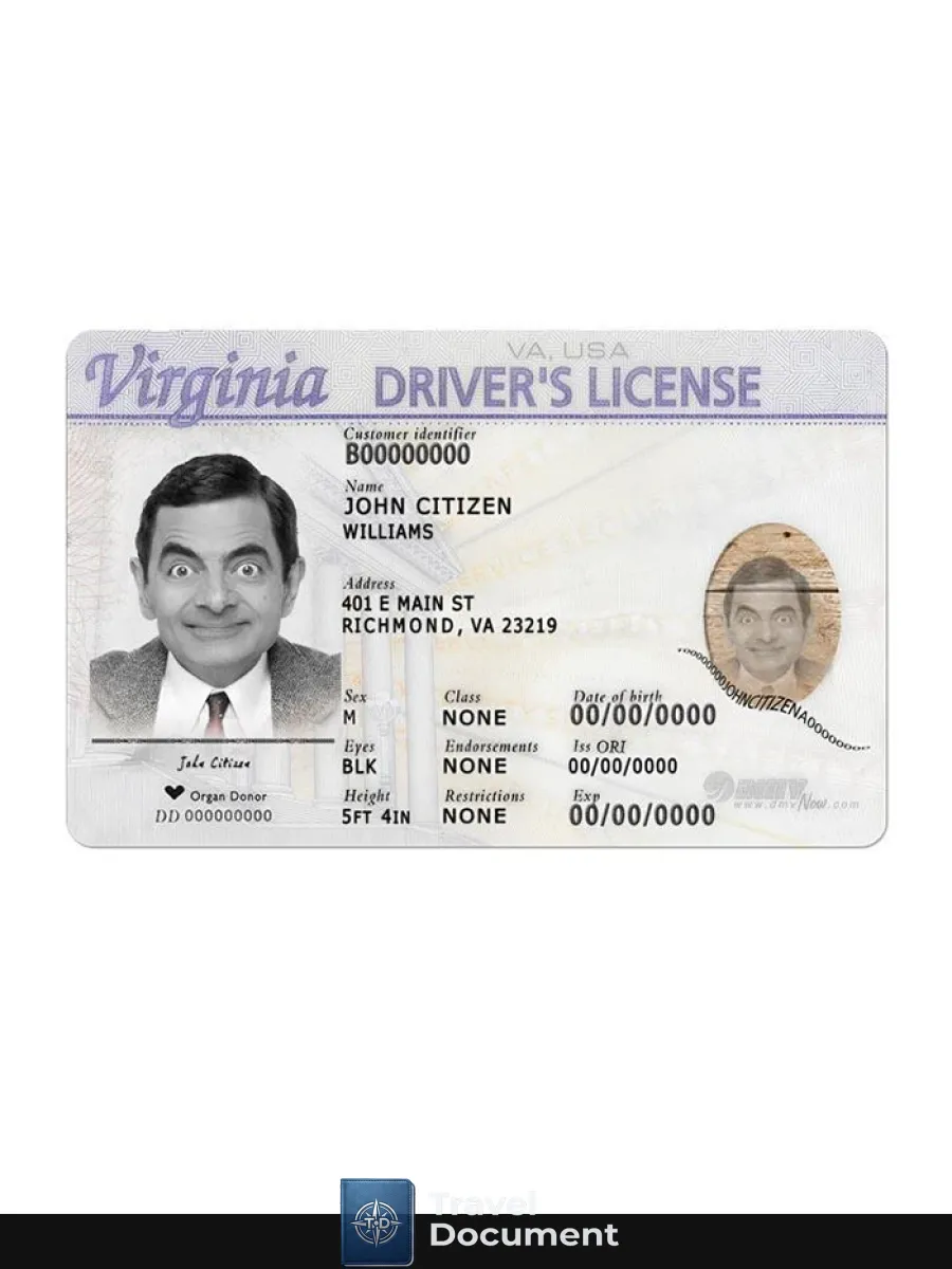 Virginia Driving Front — Driver License