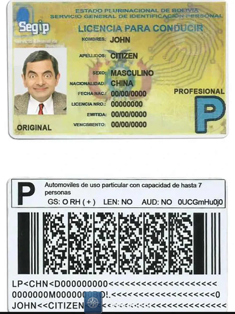 Bolivia Driving License — Driver License