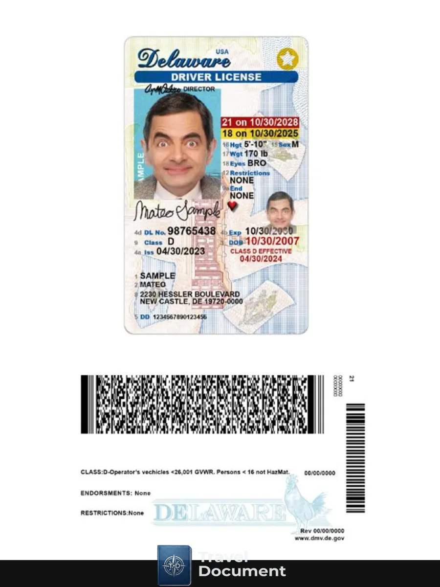 Usa Delaware Under 21 Driving License — Driver License
