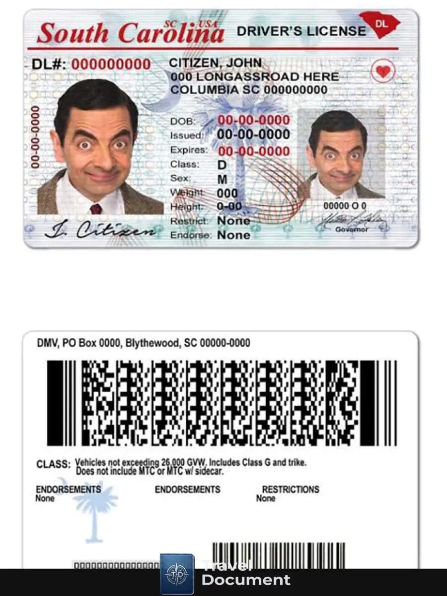 Usa South Carolina State Driving License — Driver License