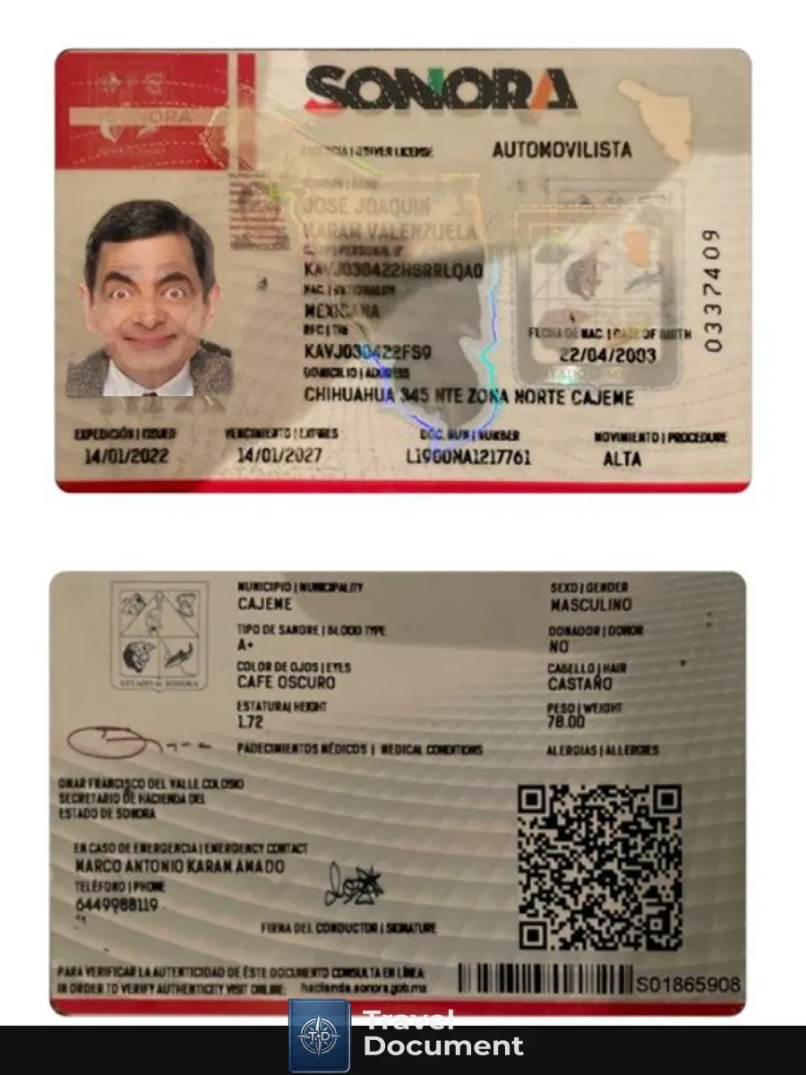 Mexico Sonora State Driving License — Driver License