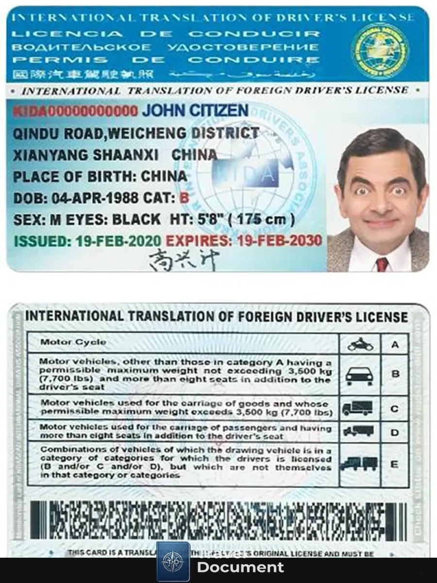 International Translation Of Drivers License — Driver License