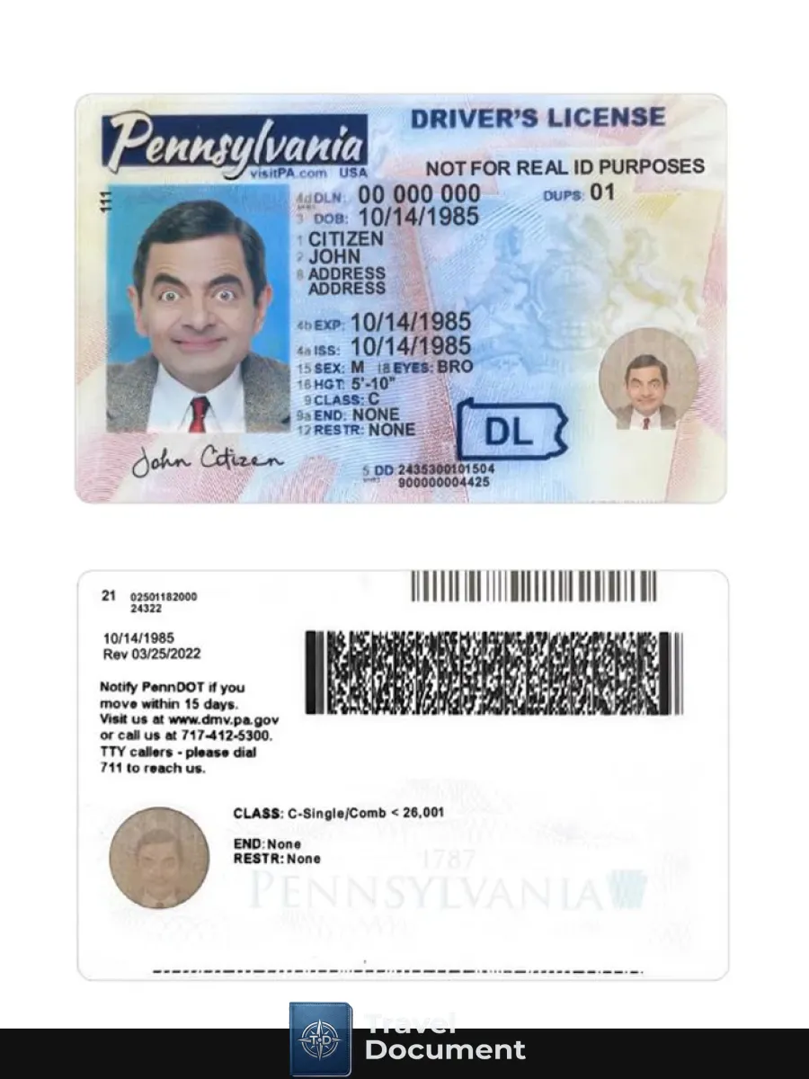 Usa Pennsylvania Driving License 2024 Present — Driver License