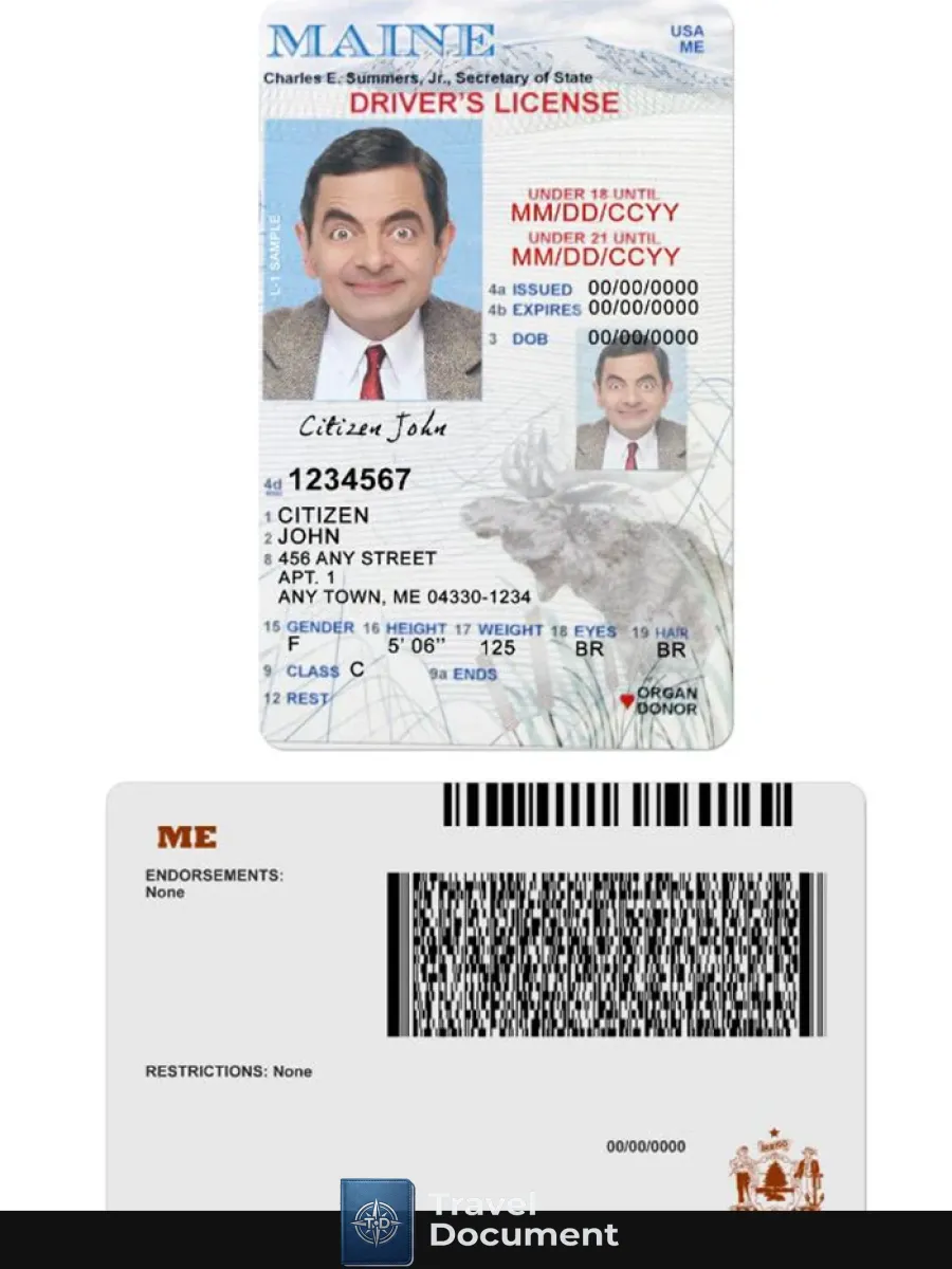 Usa Maine Driving License Under 21 — Driver License