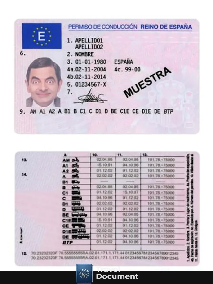 Spain Driving License Version 2 — Driver License