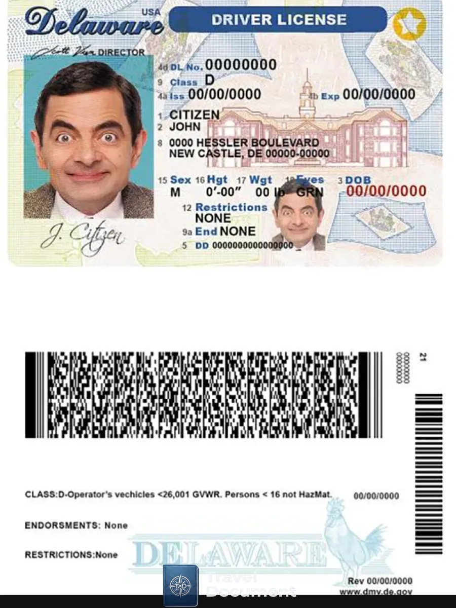Usa Delaware Driver License — Driver License