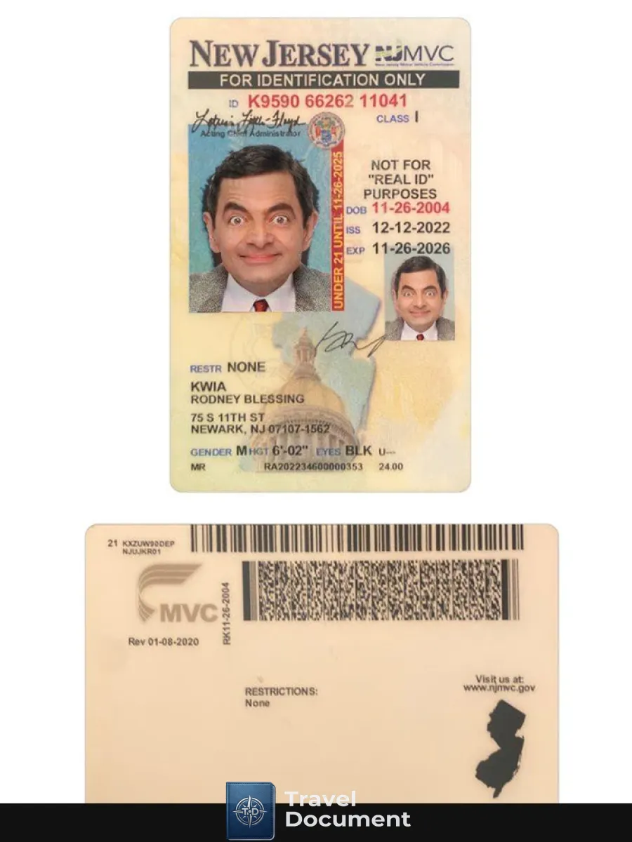 Usa New Jersey Under 21 Id Card — ID Cards