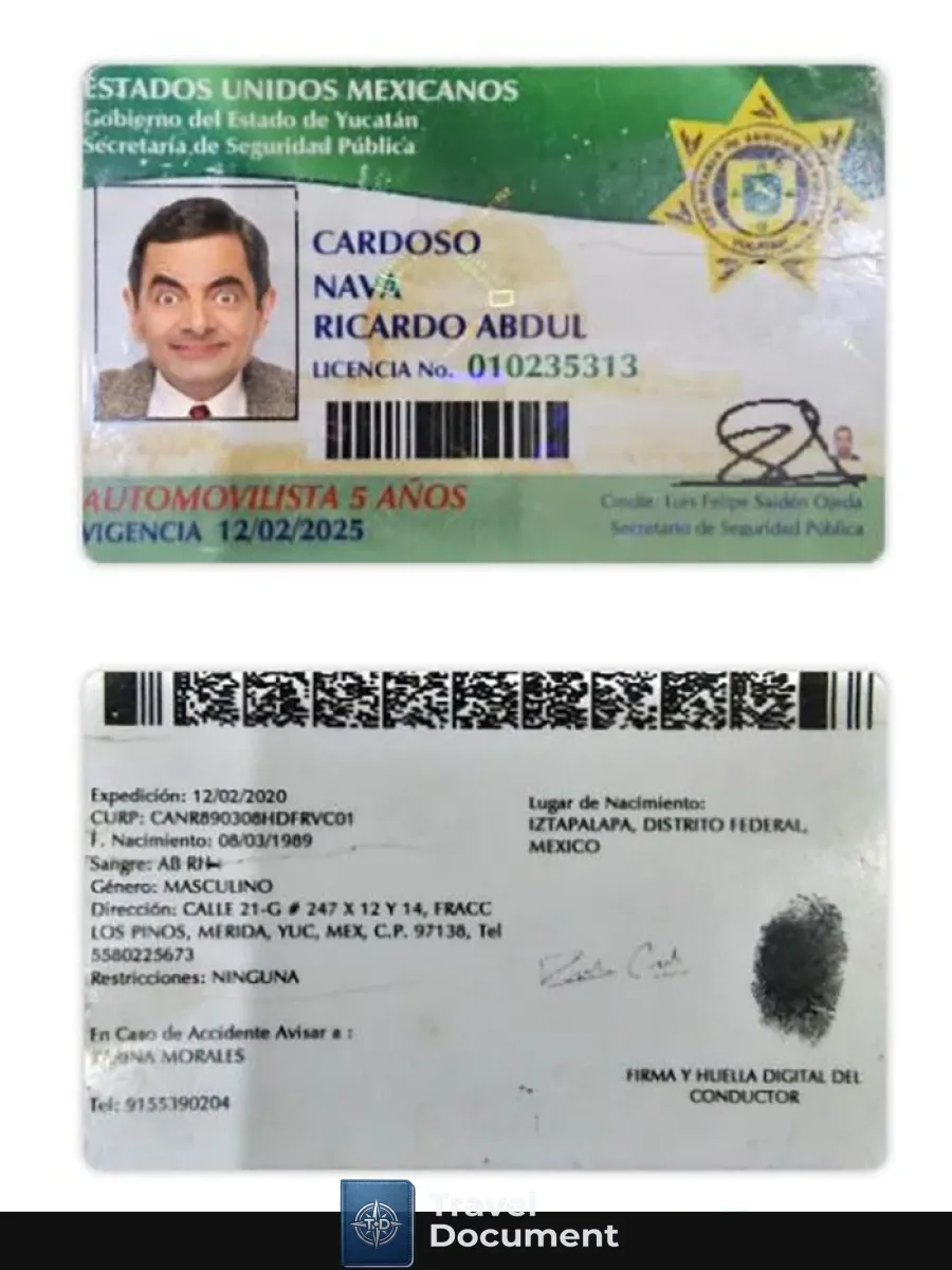 Mexico Yucatan State Driving License — Driver License