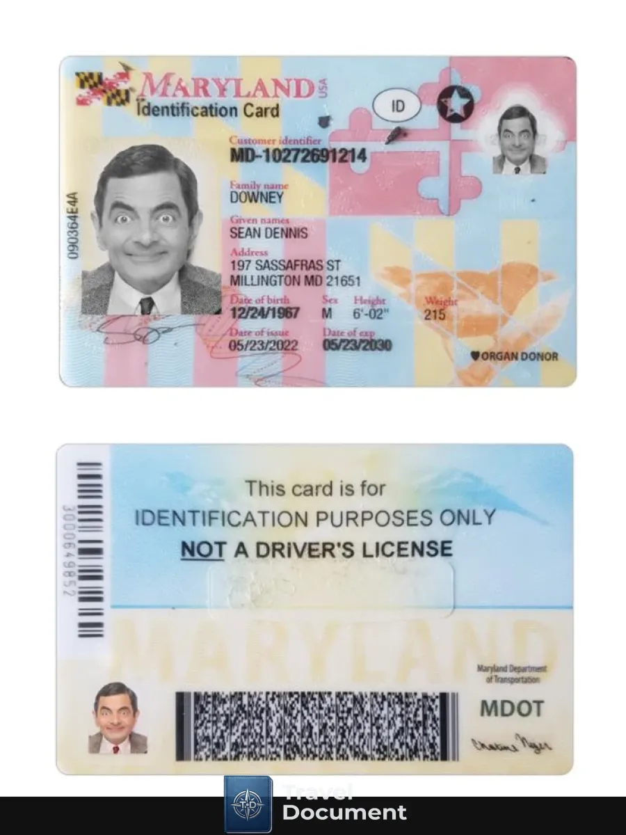 Usa Maryland Id Card — ID Cards