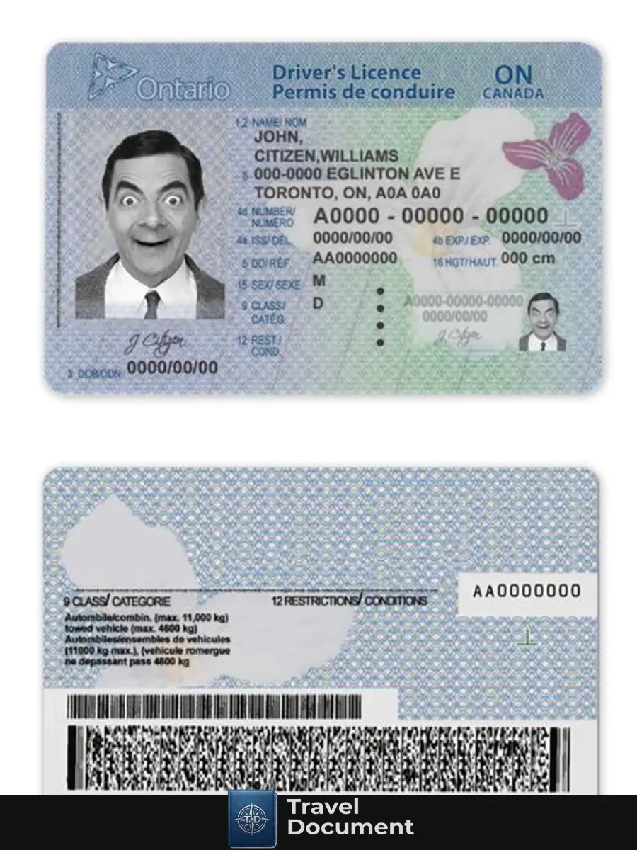 Canada Ontario Driving License Template In Psd Format2018Present — Driver License