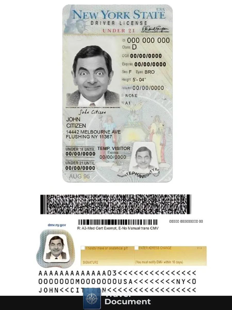 Usa New York Driving License Under 21 — Driver License