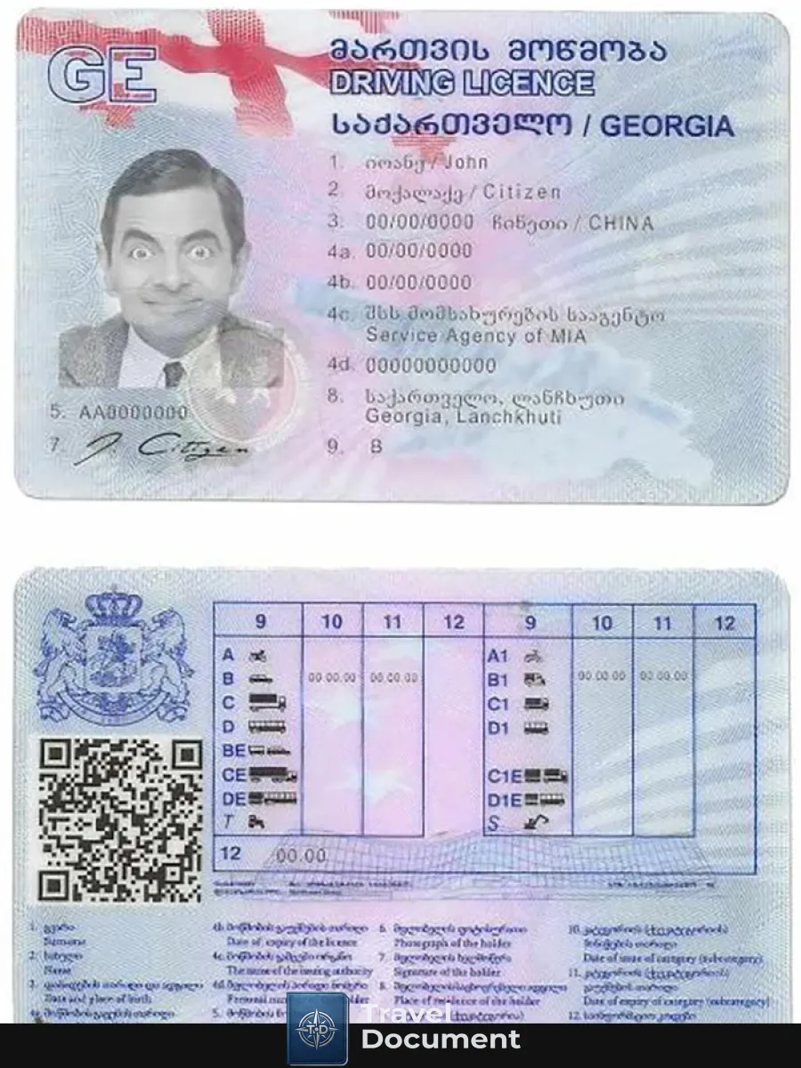 Georgia Driving License — Driver License