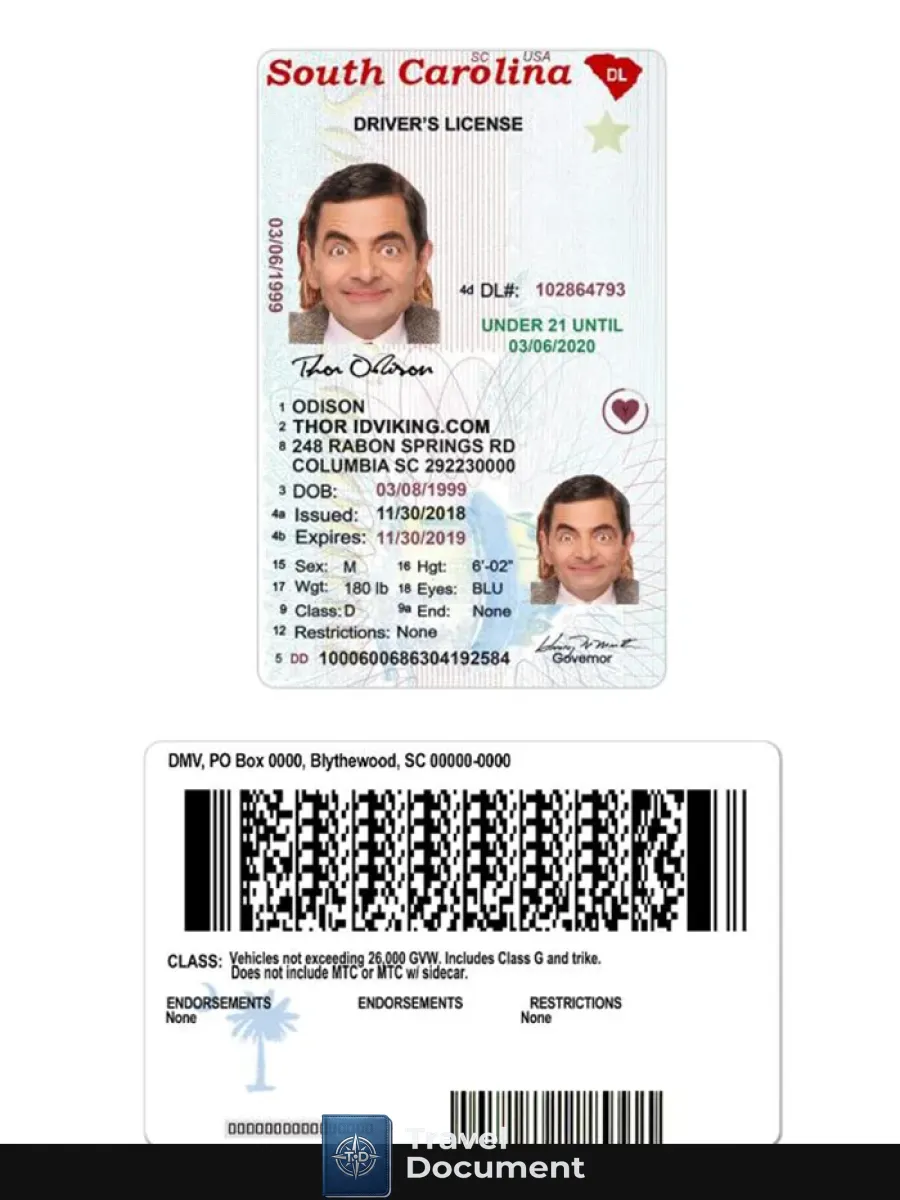 Usa South Carolina Under 21 Driving License — Driver License