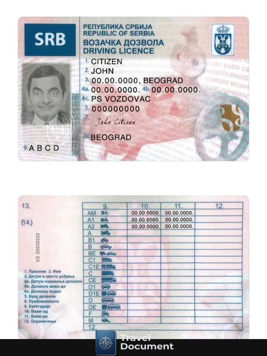 Serbia Driving License — Driver License