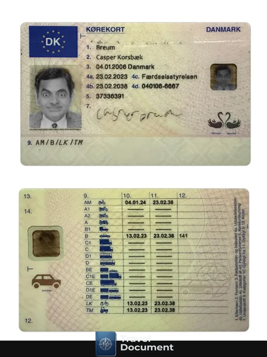 Denmark Driving License 2023 Present — Driver License