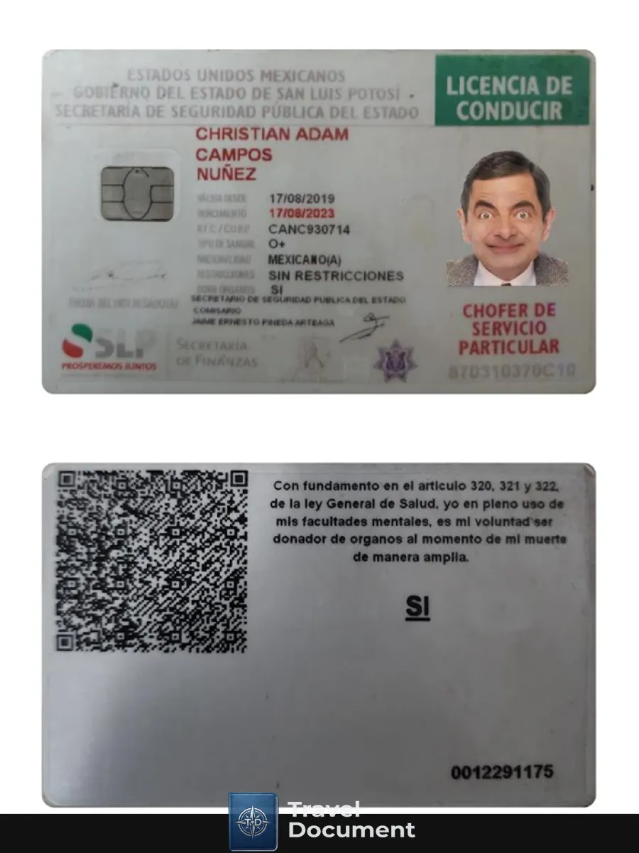 Mexico Driving License 2019 Present — Driver License