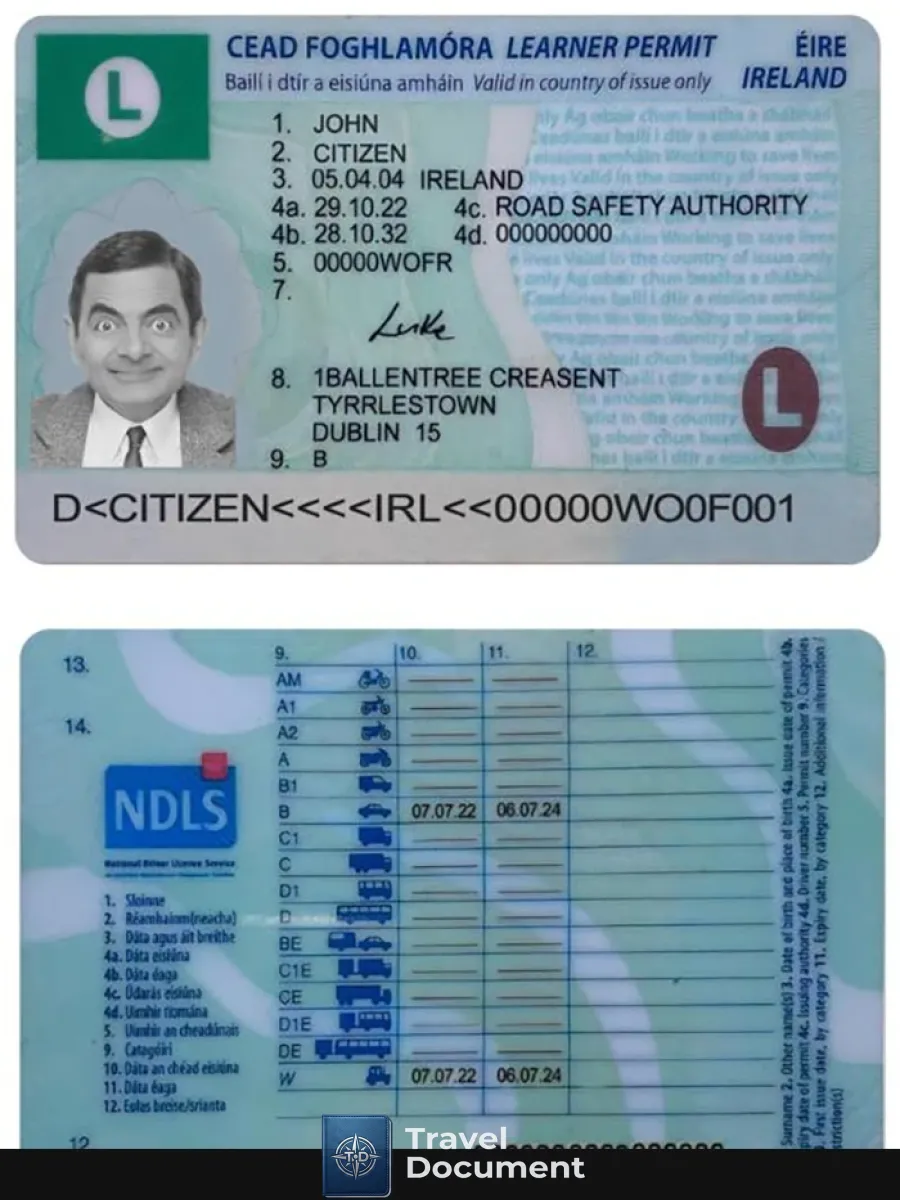 Ireland Driving License Learner Permit 2022 Present — Driver License
