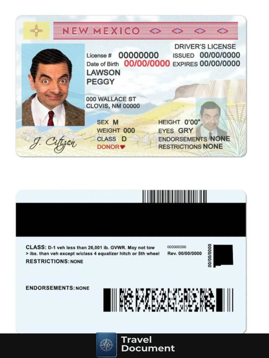 Usa State New Mexico Driving License — Driver License