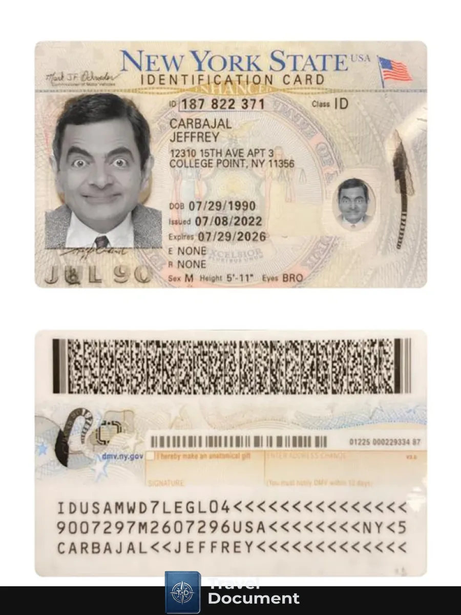 Usa New York Id Card 2022 Present — ID Cards